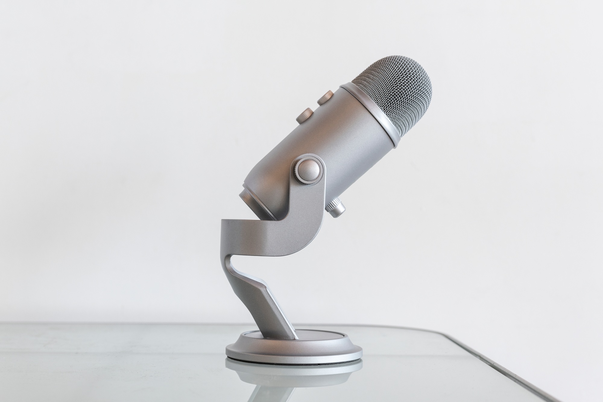 Stainless steel studio microphone